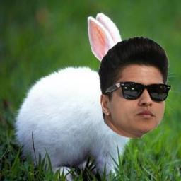 Coelho_Mars Profile Picture