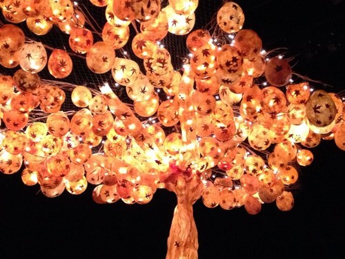 KrisTz_World's profile picture. 