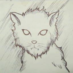 SalemCarlsen's profile picture. Anything but ordinary.