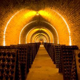 Anisewineroom's profile picture. 