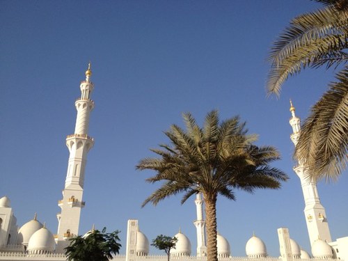 dlook_a's profile picture. 