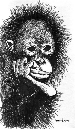 Edo_Nomo's profile picture. Loves little giants : Spellering optional