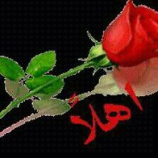 عبدالحكيم