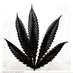 Dispensary Hunter (@dispensaryhunt) Twitter profile photo