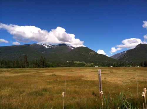 Any sport Montana State U Bobcats , Avs, Steelers, Twins, and any Seattle sports team. Love being in the great MT outdoors. My heart will always be in MT.