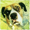 Robert Orr - @clownwarrior - Twitter