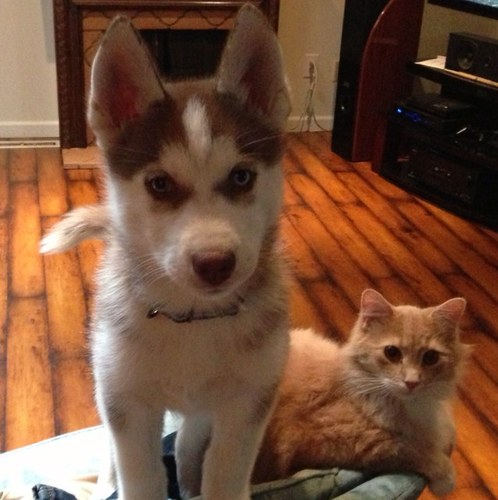 kazimer07's profile picture. 