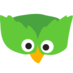 Shit Duolingo Says (@shitduosays) Twitter profile photo Shit Duolingo Says (@shitduosays) Twitter profile photo