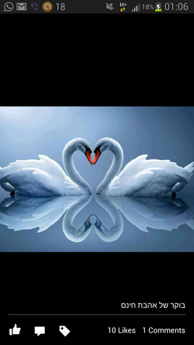 NachmanR's profile picture. 