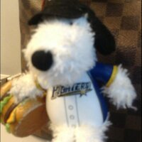 Naito, Yukiko (@musictigerkk) 's Twitter Profile Photo