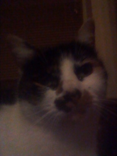 VCowderoy17's profile picture. 