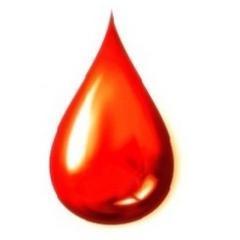 Blood Bank Kenya is an online initiative of a group of people to help hospitals people who need blood, get their donors. This service is free of charge.