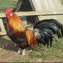 kevin Beveridge - @keithbevens - Twitter