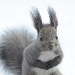 ソッチさん＠( ´･ω･)ﾉ