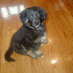 Lois Mann (@editor8919) Twitter profile photo Lois Mann (@editor8919) Twitter profile photo