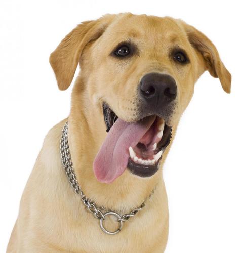 jakeangayen's profile picture. 