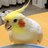 鈴空のアイコン