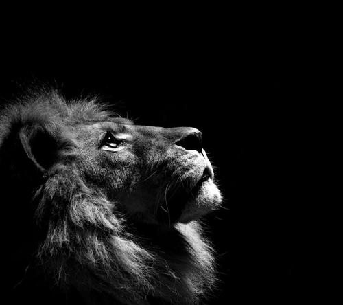 Great Leaders too source strength from God above.