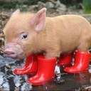 Mike Speed - @eds_sleepymike - Twitter