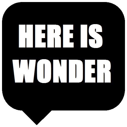 hereiswonder's profile picture. Hereiswonder is an blog providing inspiration, resources and lessons for start-up companies and not-for-profits.