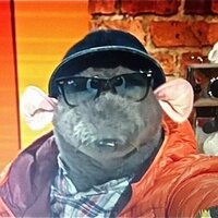 SIR ROLAND RAT (@rolandrat) 's Twitter Profile