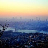 maria (@mariaabdulhamid) 's Twitter Profile