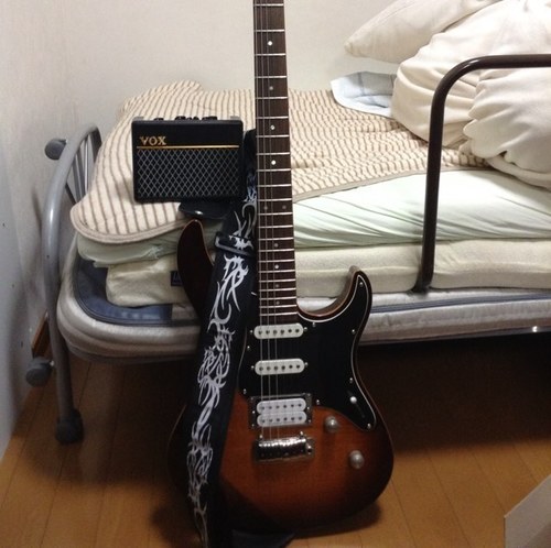 ギターとベースを弾いてて、エフェクターの自作が大好きです、依頼があればどなたでもエフェクター作ります。トランペットも吹きます。Casiopea/Marcus Miller/Eric Johnson/Larry Carlton/Andy Timmons