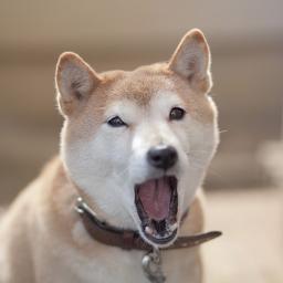 ygezepyzpy's profile picture. これは会話のネタに使える！と思ってしまうようなつぶやきを紹介しています。良いと思ったらRTお願いしますね！