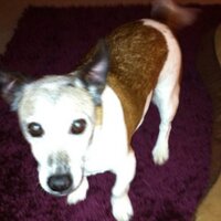 ronan mullaney (@mullaneyronan) 's Twitter Profile