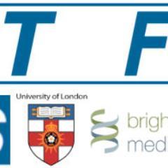 STFSePortfolio's profile picture. 