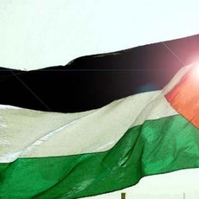 help_gaza's profile picture. please press the follow button.And pleaae dont unfollowing me.Thank You.