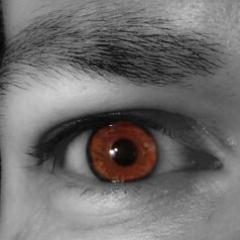 Geboren und lebe noch...., Gitarrorist xxdafunkxx@hotmail.com