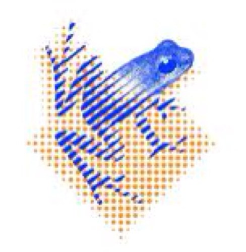 SMC_UMCG's profile picture. Blessurespreekuur | Sportmedische onderzoeken & keuringen | Sportfysiotherapie | Sportorthopedie | Sportcardiologie | Onderwijs & Onderzoek