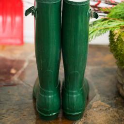We are a small family run farm on the out skirts of Milwich set in the beautiful countryside of Staffordshire England. With a large selection of plants.