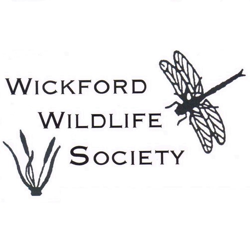 Wickford Wildlife Society. Local friendly group interested in wildlife, always happy to have new members