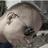 Lipczyk's profile image