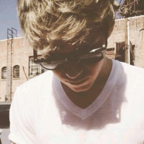 My bio got lost in Harry Styles' curls.