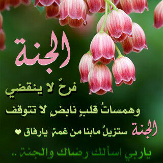 معلمة الناس البحث عن  النور و الخير والتفكر بعظمة الخالق وذكر سبحان الله وحمده
