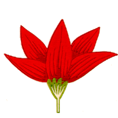 MalabarCotton's profile picture. fabrics from faraway places