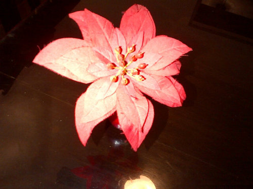 vicguadalupe's profile picture. 