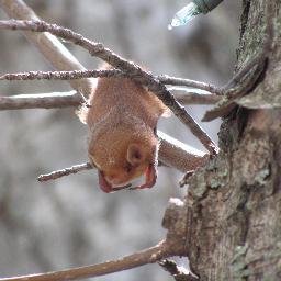 amr_ve's profile picture. Veterinarian, scientist, and part-time engineering groupie.