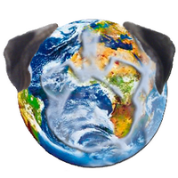 Tony The Pug (@tonythepug) 's Twitter Profile