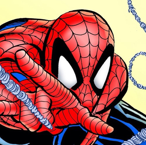 One man attempting to reach his Spidey Grail