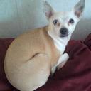 Ginger Keener - @OliviazMomma - Twitter