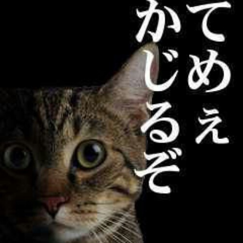 snhakht's profile picture. 12.02.28〜

bot専用。人間はめんどいからくんな