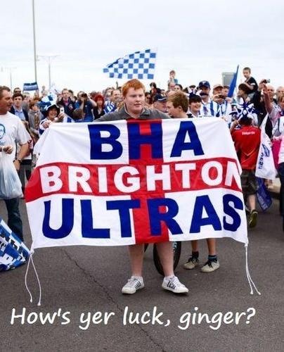 The nonsensical ramblings of Brighton Fans on the NSC. All tweets are direct quotes.