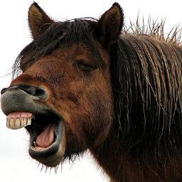 McMavFAN's profile picture. 