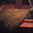 broom4466655444