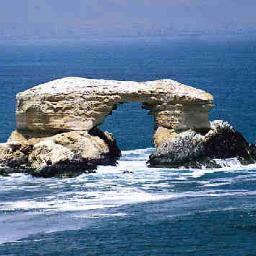 Datos_Antofa's profile picture. 