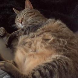 ThaJeffers's profile picture. 